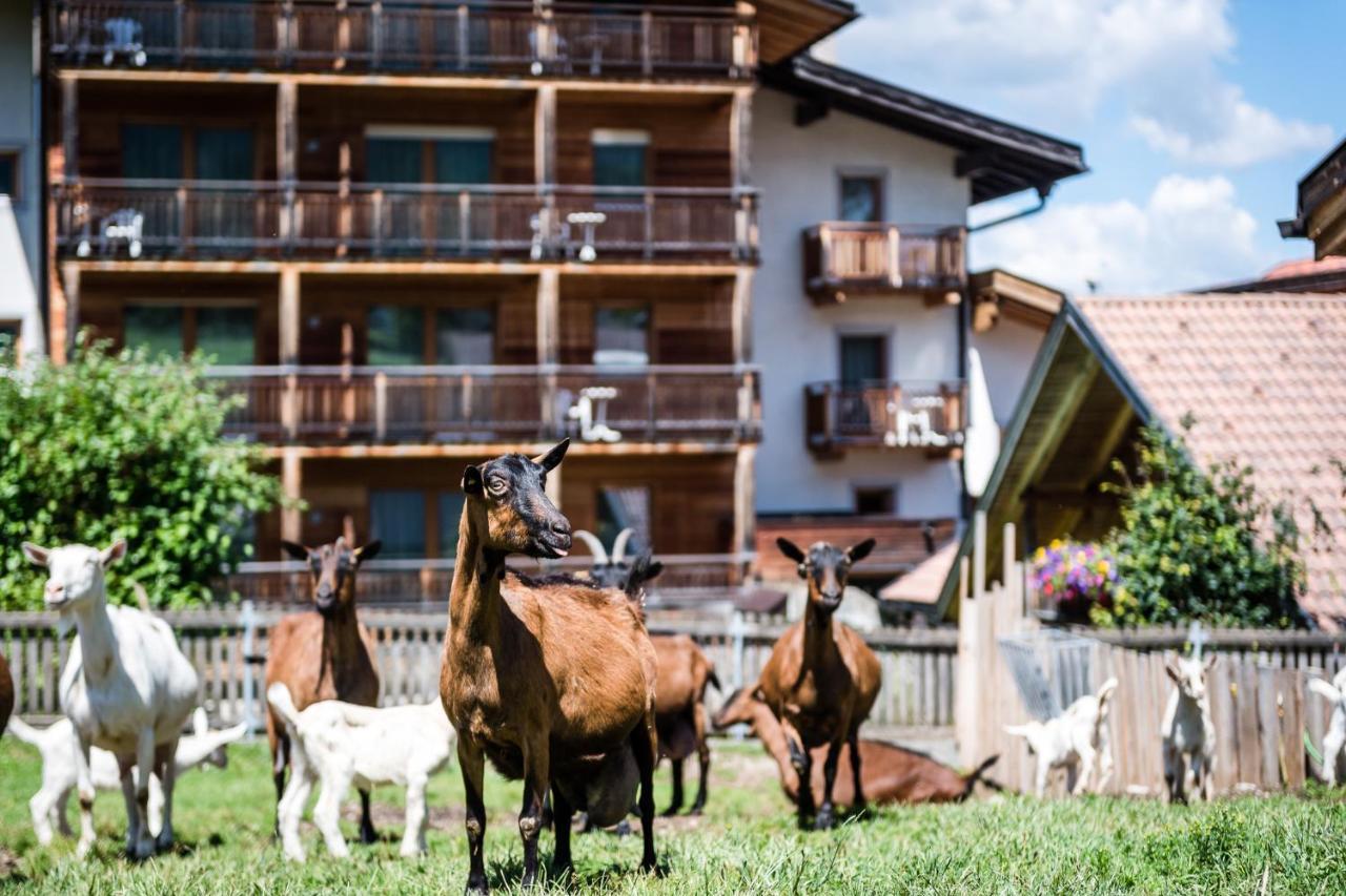 Sporthotel Exclusive San Vigilio Di Marebbe Exterior photo